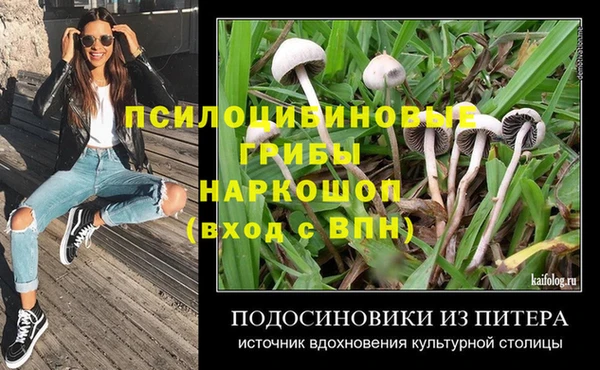 тгк Медвежьегорск