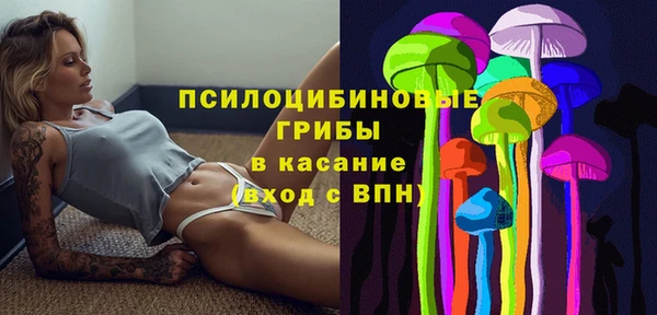 прущая мука Медногорск