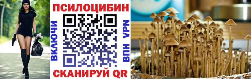 Псилоцибиновые грибы Psilocybine cubensis  продажа наркотиков  Усть-Джегута 