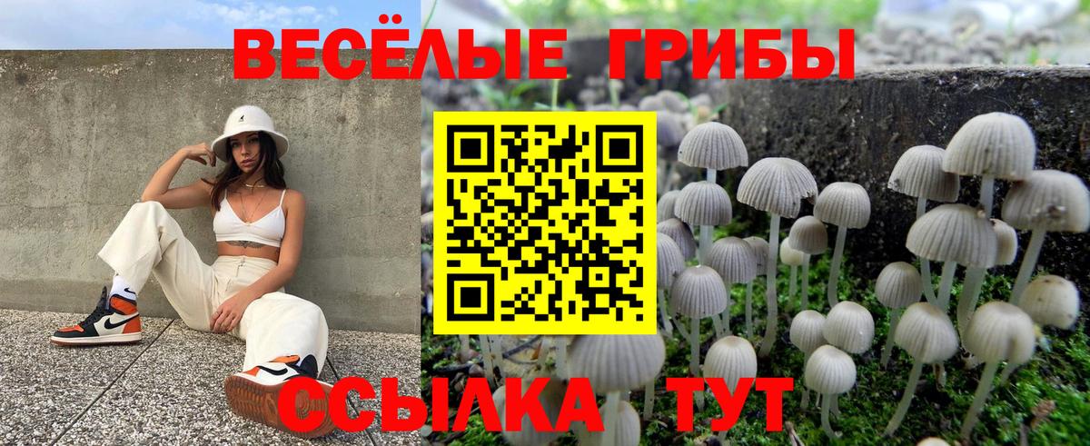 Псилоцибиновые грибы GOLDEN TEACHER Усть-Джегута