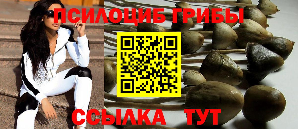 Усть-Джегута  Галлюциногенные грибы MAGIC MUSHROOMS  Вход с VPN 