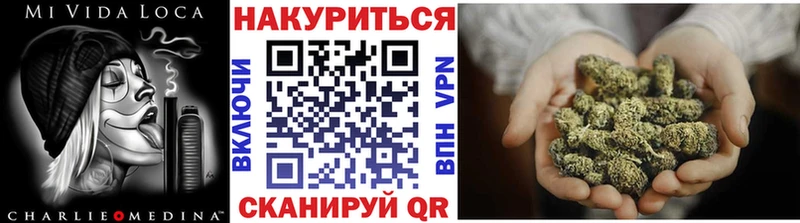 цена Усть-Джегута Марихуана семена